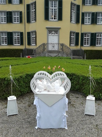 Hochzeitsservice Sternschnuppe - Weiße Tauben & Ballons, Hochzeitstauben · Ballons Oberhausen, Kontaktbild