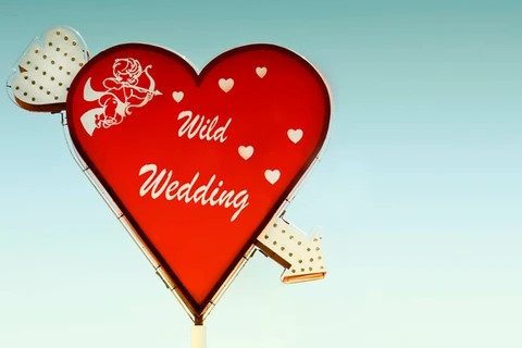 Wildwedding - Nicole & Thomas Schweizer, Hochzeitsfotograf · Video Essen, Logo