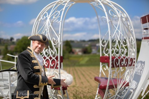 Hochzeitspferde - wedding horses, Hochzeitsauto · Kutsche Hamm, Logo
